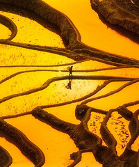 ������ŭ�޵ġ��������硱�������ж༫�£�