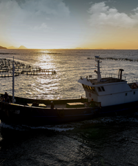 ��µ���39��˲�䱻��Ӱʦ���£�û�뵽��ô����