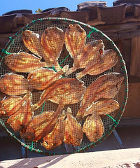 ̨�ݰ��ﶬ��ɹ�����˷羰�������ϲˡ����涹�桭