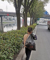 ���Ӳ���ȥ��ѧ�������Ⲩ�����������ޱ���