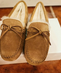 ����һ���붬����ĺ��