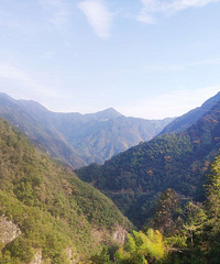 �������г�����̨�ݻ�����ͷ����ᮺͲ�����֮����¿