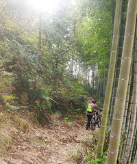 �������г�����̨�ݻ�����ͷ����ᮺͲ�����֮����¿