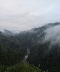 �����Ϸ�����ů��ӯ�����������������㶫�Լ��У�