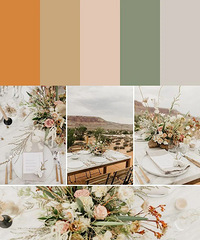 7��ɳĮ������ɫָ�ϣ��ҵ��ʺ����ɳĮ���飡