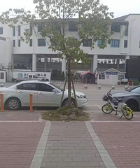 �����ԨСѧ����ת��