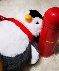 �ǰͿ�ʥ��ϵ��̫���ˣ�û��ס�����