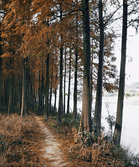 ����Ħ���ܱ��У�2�������