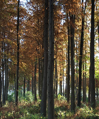 ����Ħ���ܱ��У�2�������