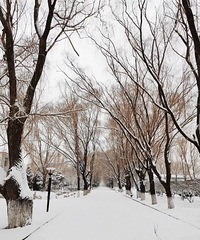 ��һ��ȥ��µ��������ѵ���������ʿɽһ��