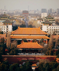 �۶�ӡ�󣬱Ƚϴ�æֻȥ����̳�͹ʹ�