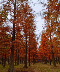 ��̶ˮ�⡫������