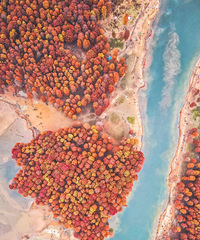 �㽭����ˮ��ɭ�ֺ��ˣ���Ķ��ɼ��ӭ����ֵ�۷�