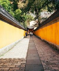 �²���������С�ǣ�������ס��Ÿ�������ʥ