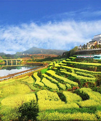 �𻪾�Ȼ���������֣����ɶ���������