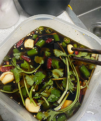 ��������ʳ��������ʽ�������ĵ�