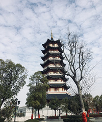 ��2020���δ�������������ʢ���Ƴ���