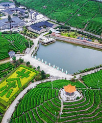 ��Ҷ���ȵĶ��죬�ٺ�����ɽ�����̵����۾�����~~