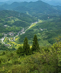 ��Ҷ���ȵĶ��죬�ٺ�����ɽ�����̵����۾�����~~