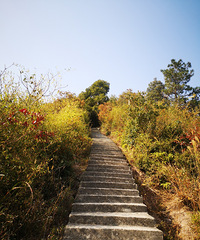 ���������������У�����Ѿ����