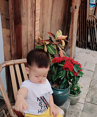 ��̥��ͥ��ʹ�������š�19¥���������˵���