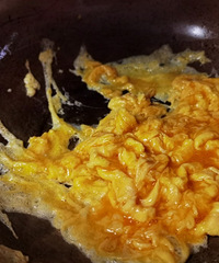 ��˽����ʳNo.49�����˰��Ե�������������