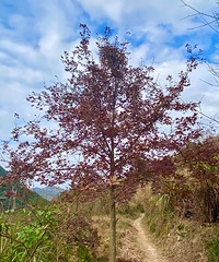 ���۸��᡿������������һ��������ʲô��