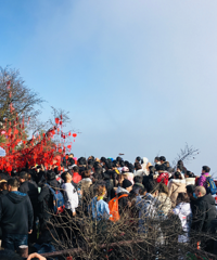 ������Ŀ��һ�䡰�Ͼ�ɽ�ϳ����桱������æ����