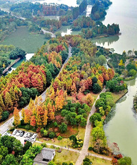 �������·���족�������Ѿ����������ɾ���~