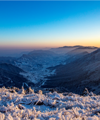 �����ˣ��㽭��������ë��ѩ��һ��ѩ����Ϯ