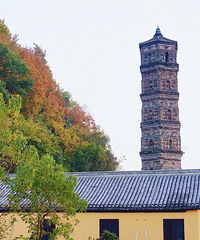 �ٺ����������������£����������������ֺ�