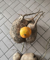 һֱ��Ϊ�عϾ���ެ��������������е��̲˵�ζ��