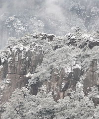 ����������̩���ɾӣ�