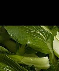 ����˺ܼ򵥣����Էŵ��㹽���ó�