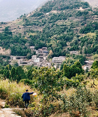 ���۸��᡿��ƽ��ÿ����㻨Ǯ�ж��٣�