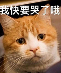 �������㽭Ů����20Ԫ��������������ݣ���������һ����