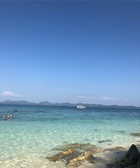 ��2020���δ���������1�·ݻ�ȥ��һ��̩������