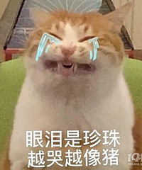 ������ˣ���Ҷ�ȥ��������