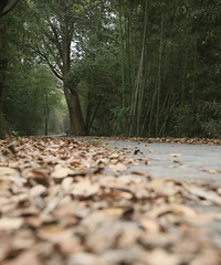 ���ޣ�����Щ������ɫ�������ˣ���ȥ�򿨣�