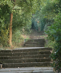 ���ޣ�����Щ������ɫ�������ˣ���ȥ�򿨣�