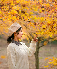 ���ټ���ӲӵĻƷ�Ҷ