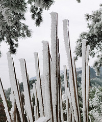 20201220̨��ѩ��