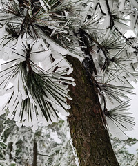 20201220̨��ѩ��