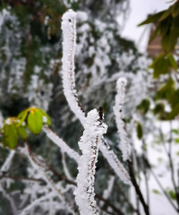 ����ɽ��ѩ��·��û��ûѩ�˵�ɽ������