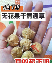 ĸ���ٵ������������������޻�������ͨ�ݣ���ĳ����̣�