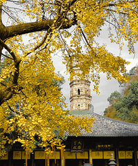 ����Ħ���ܱ��У�3��������