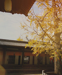 ����Ħ���ܱ��У�3��������