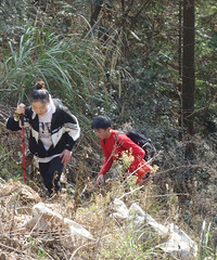 ���˴���ɽ�������ں���900���׵ĵط�����ѩ