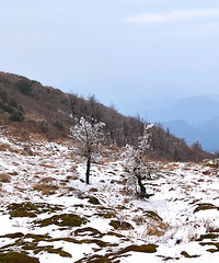 �����һ�ο�ѩ���������