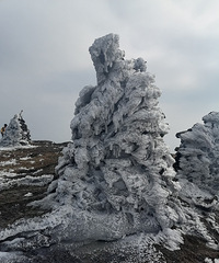 ����ɽͽ����ɽ������ڡ